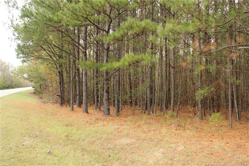 1242 White Hill Rd, Sanford, NC 27330