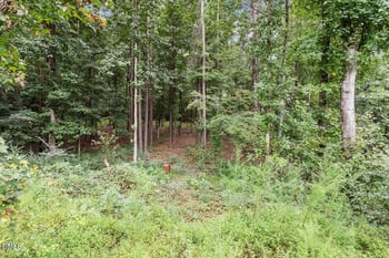 12471 Selma Rd, Middlesex, NC 27557