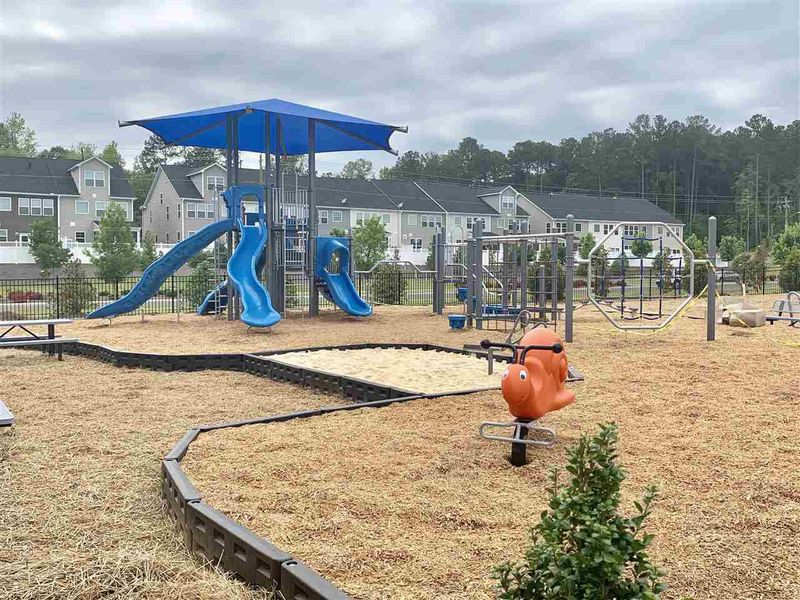1248 Gloriosa St, Apex, NC 27523