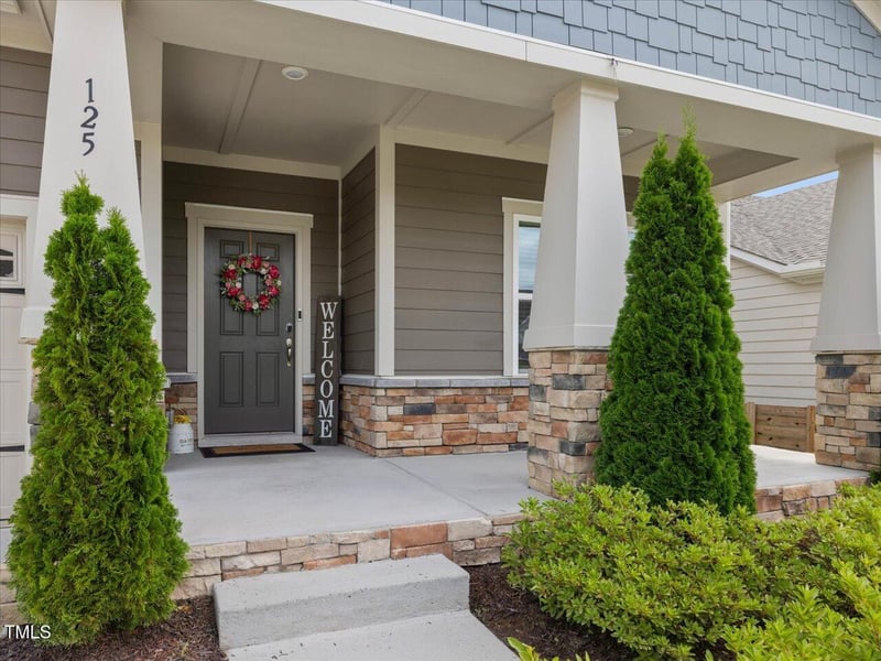 125 Blue Hydrangea Ln, Holly Springs, NC 27540