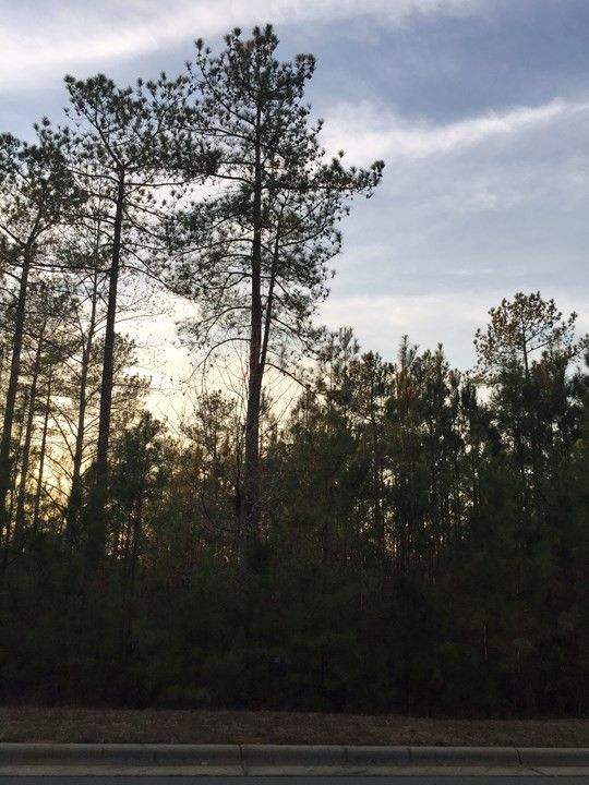 125 Brandy Mill Lot 293, Pittsboro, NC 27312