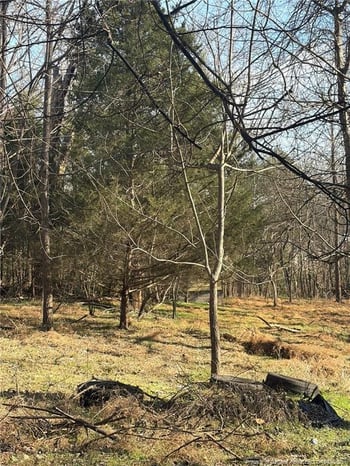 125 Masonic St, Pittsboro, NC 27312