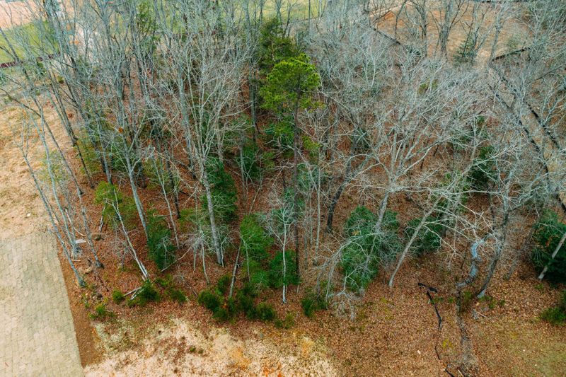 126 E Antebellum Dr Lot 35, Pittsboro, NC 27312