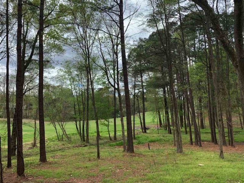 126 Nottingham Dr Lot 1, Chapel Hill, NC 27517