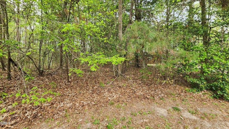 126 Silver Belle Dr, Zebulon, NC 27597