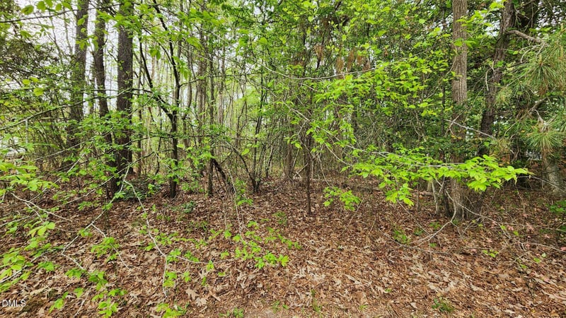 126 Silver Belle Dr, Zebulon, NC 27597
