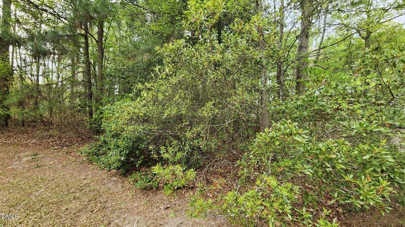 126 Silver Belle Dr, Zebulon, NC 27597