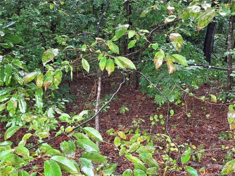 1261 Bingham Dr, Fayetteville, NC 28304