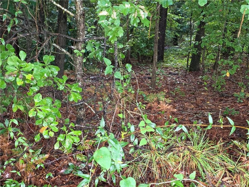 1261 Bingham Dr, Fayetteville, NC 28304