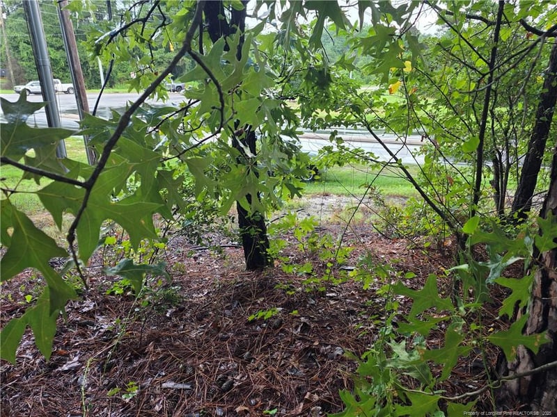 1261 Bingham Dr, Fayetteville, NC 28304