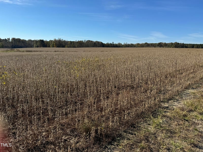 1262 Stallings Mill Rd Lot 1, Louisburg, NC 27549