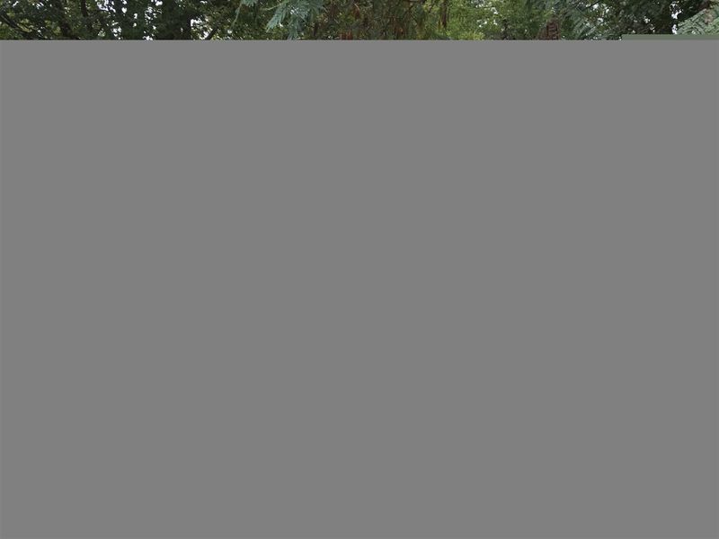 12671 W Wilson St, Middlesex, NC 27557