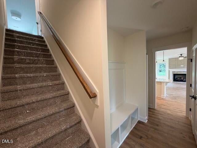 127 Big Pine Rd, Clayton, NC 27520