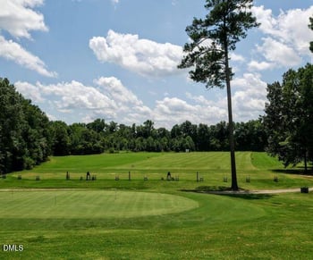 127 Prairie Dog Dr, Louisburg, NC 27549