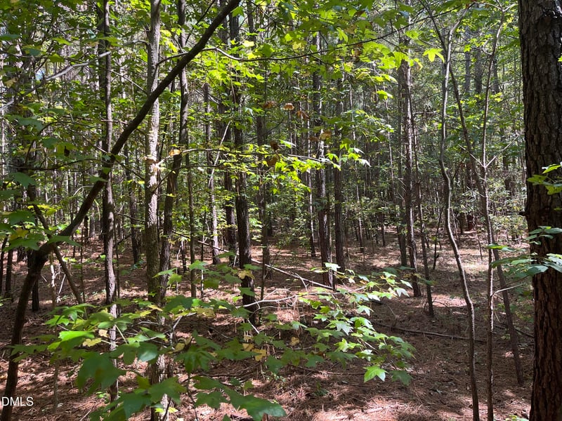 12726 Creedmoor Rd, Wake Forest, NC 27587