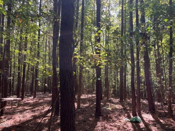 12726 Creedmoor Rd, Wake Forest, NC 27587