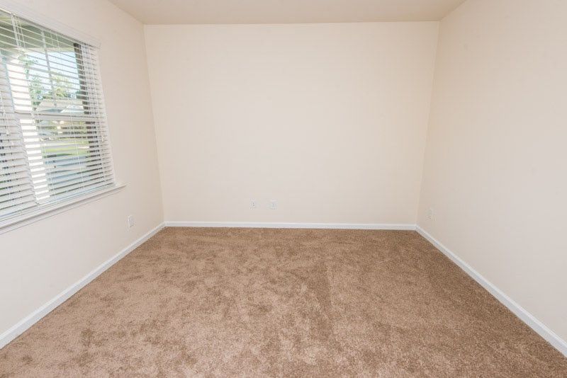 128 Sunflower Way, Clayton, NC 27527