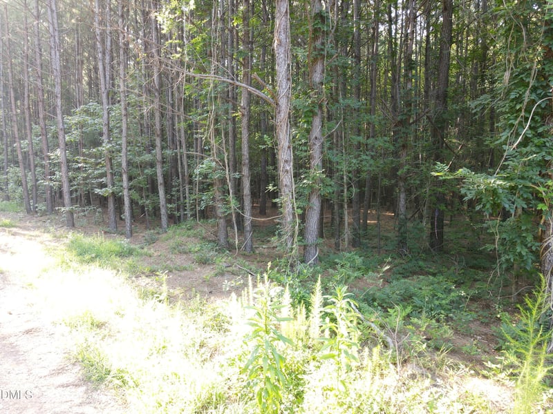 12911 Creedmoor Rd Lot N/A, Wake Forest, NC 27587