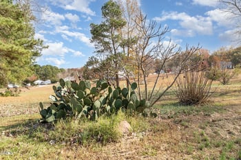 12928 Buffalo Rd, Archer Lodge, NC 27527