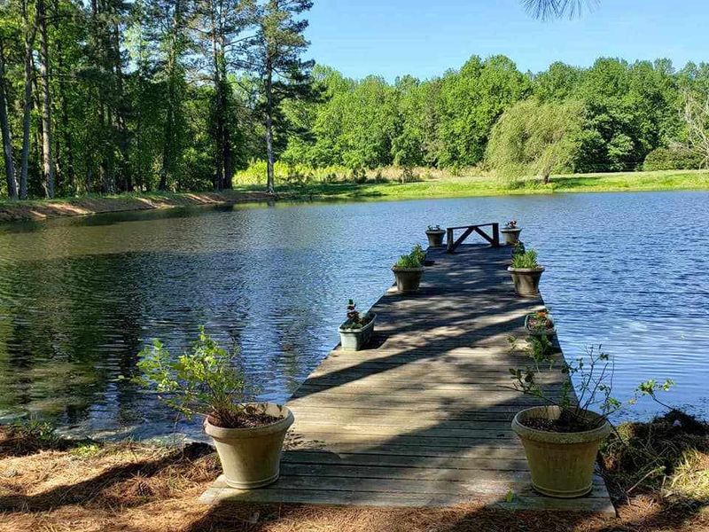1295 Pilot Riley Rd, Zebulon, NC 27597