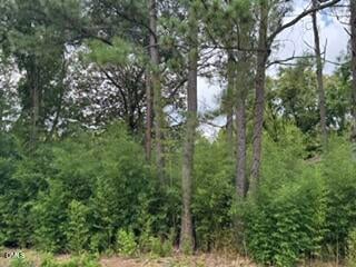 1298 Moores Chapel Rd Lot 3, Lillington, NC 27546
