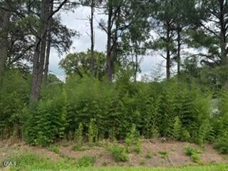 1298 Moores Chapel Rd Lot 3, Lillington, NC 27546
