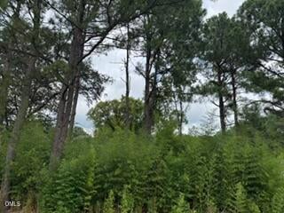 1298 Moores Chapel Rd Lot 3, Lillington, NC 27546