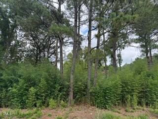 1298 Moores Chapel Rd Lot 3, Lillington, NC 27546