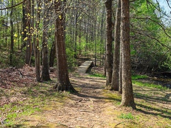 13 Vauxhall Pl, Chapel Hill, NC 27517