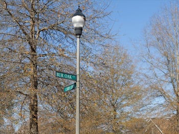 130 Bur Oak Ct Lot 488, Pittsboro, NC 27312
