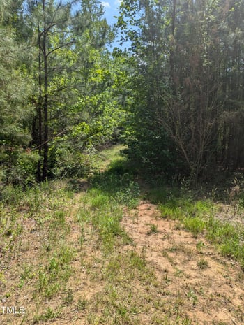 130 Rhett St, Franklinton, NC 27525