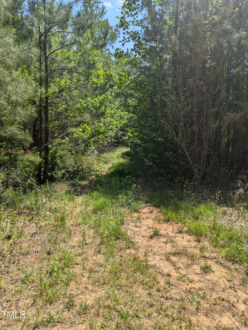 130 Rhett St, Franklinton, NC 27525