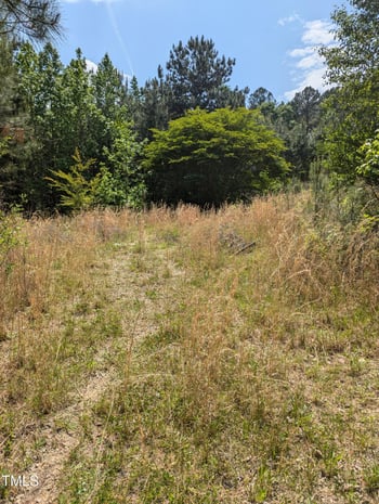 130 Rhett St, Franklinton, NC 27525