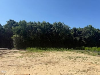 130 Surles Landing Way, Benson, NC 27504