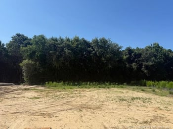 130 Surles Landing Way, Benson, NC 27504