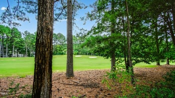 1300 Brewer Jackson Ct, Wake Forest, NC 27587
