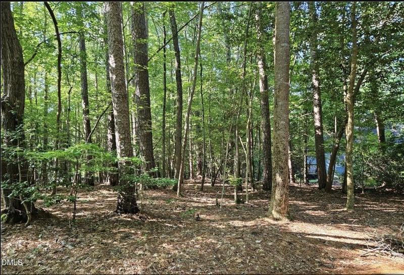 1302 Carolina Dr Lot 1302, Sanford, NC 27332