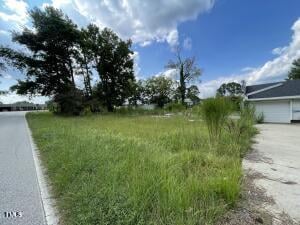 1304 Shadetree Rd, Benson, NC 27504