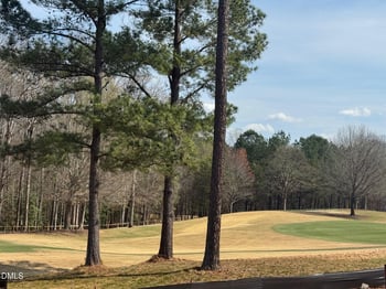 1309 Eagleson Ln, Wake Forest, NC 27587