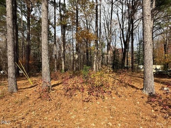 131 Catoose Dr Lot C-1822, Louisburg, NC 27549