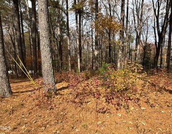 131 Catoose Dr, Louisburg, NC 27549