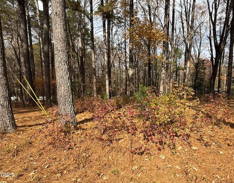 131 Catoose Dr, Louisburg, NC 27549