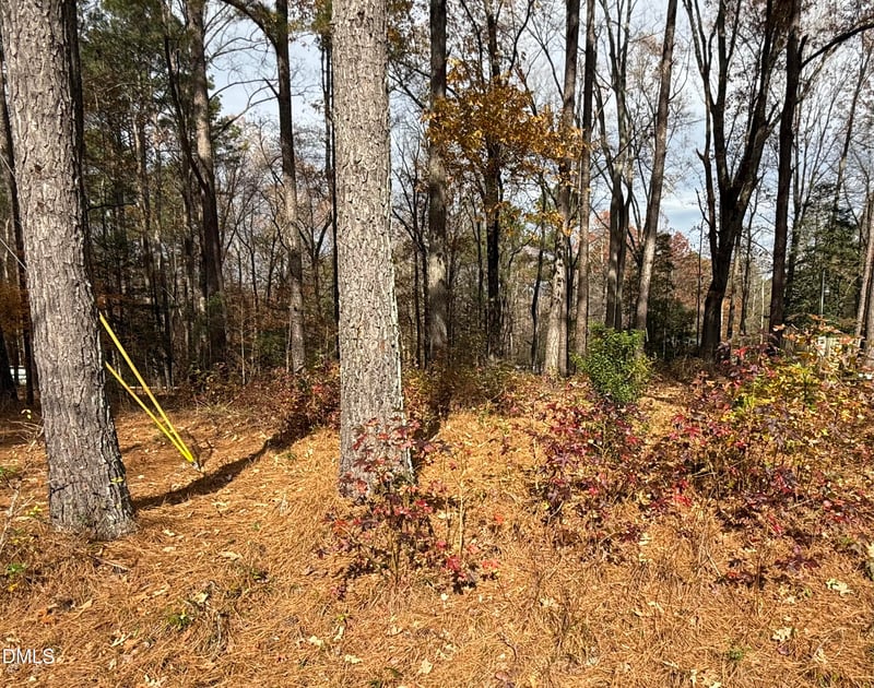 131 Catoose Dr, Louisburg, NC 27549