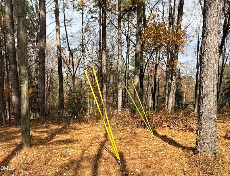 131 Catoose Dr, Louisburg, NC 27549