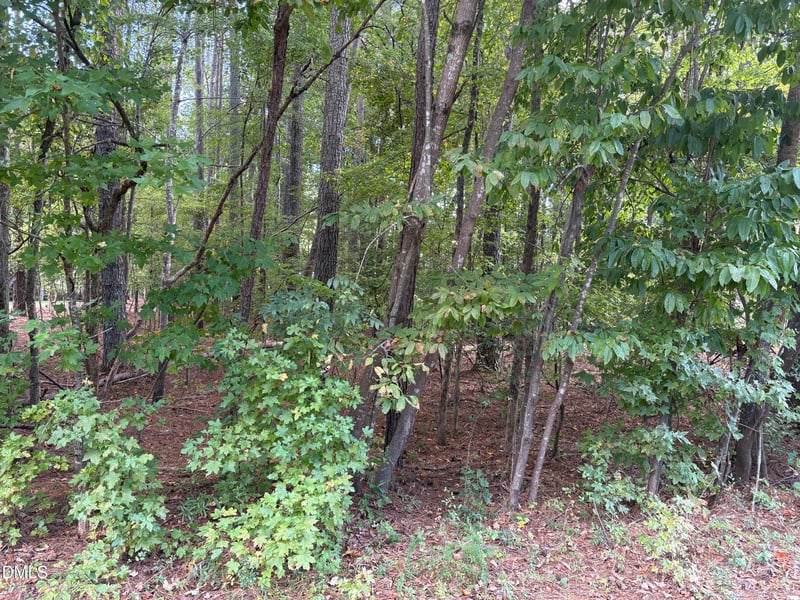 131 Clear Water Rd, Louisburg, NC 27549