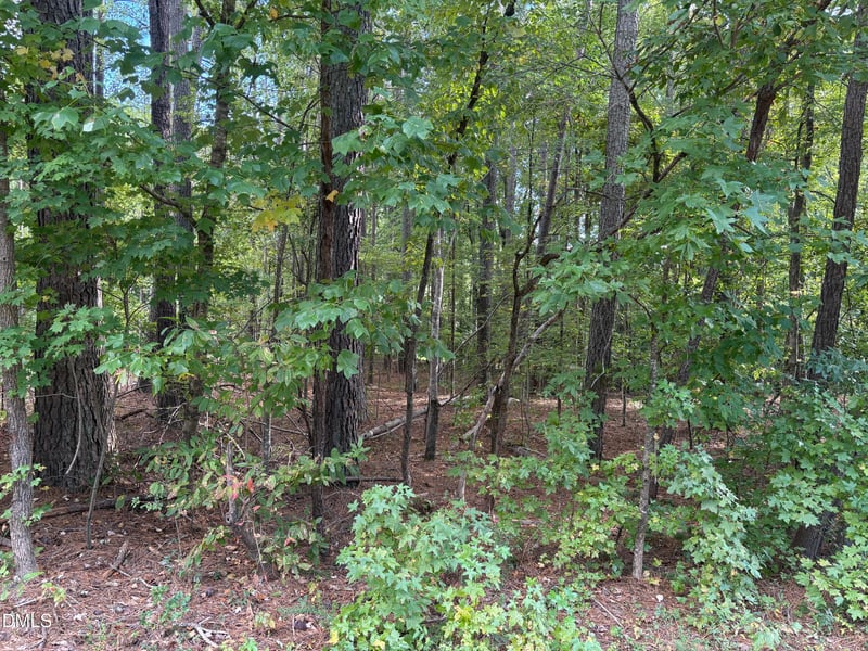 131 Clear Water Rd, Louisburg, NC 27549