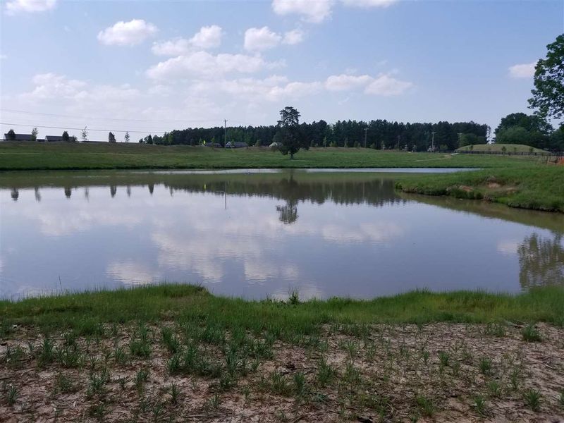 1310 Farm Pond Trl, Durham, NC 27703