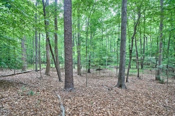 1311 Tallyho Trl, Chapel Hill, NC 27516