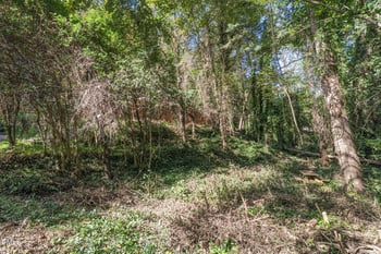 1312 Onslow Rd, Raleigh, NC 27606