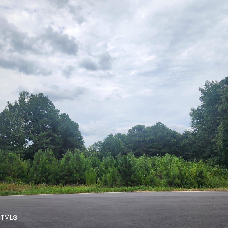 13124 N Nc Hwy 96, Zebulon, NC 27597